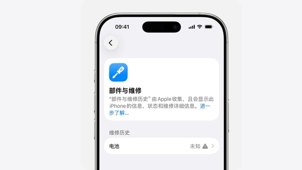报告里的“暂无”“查询失败”“不适用”“无维修记录”分别是什么意思
